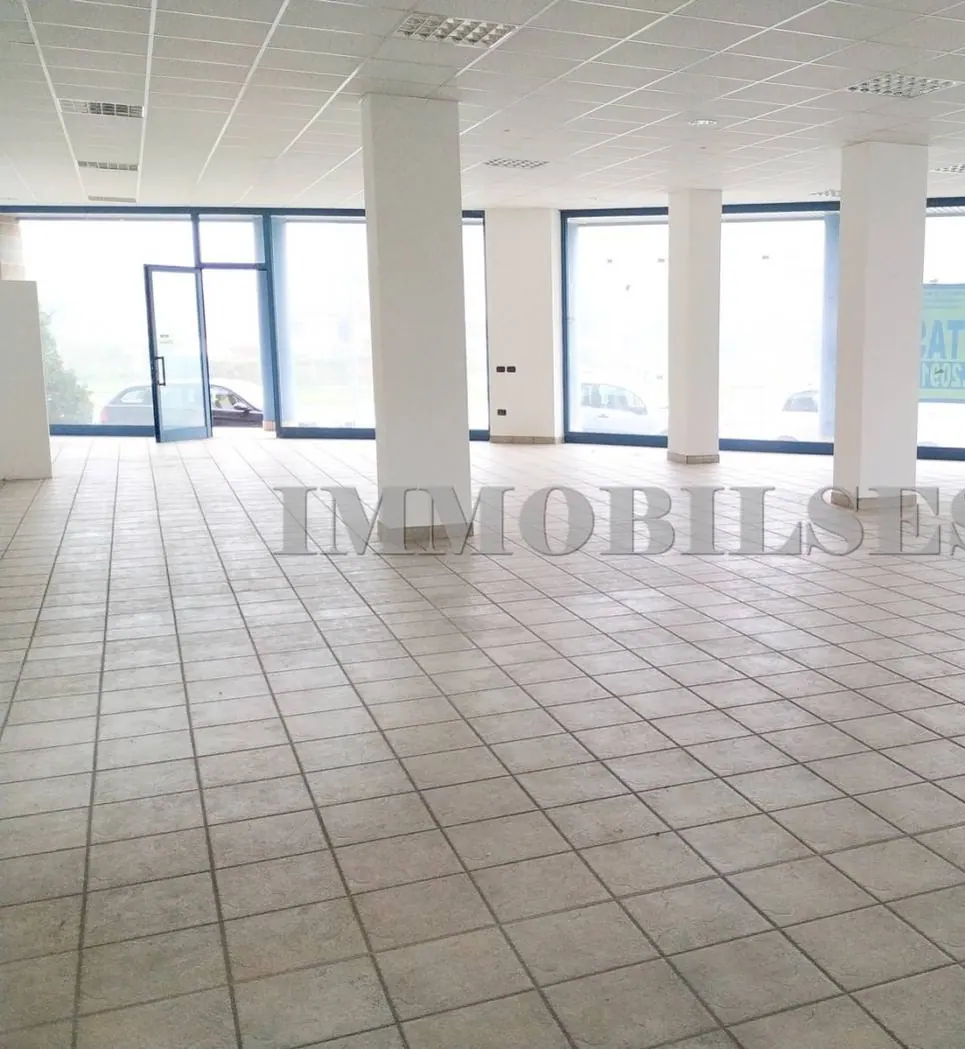 Negozio in vendita a Roasio (rif. 10048): foto principale