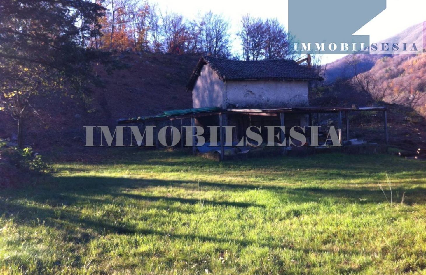 Immagine secondaria dell'immobile